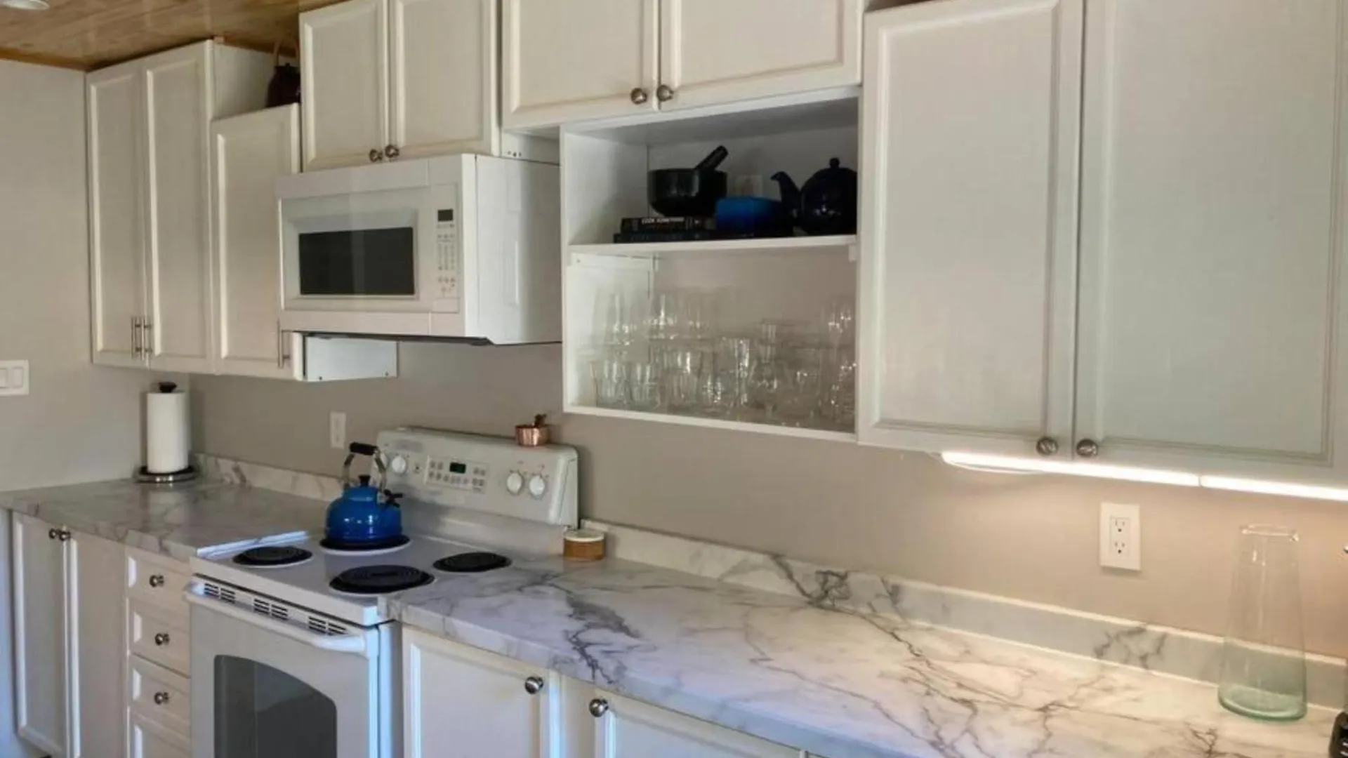 別荘 Lovely Leslieville, Exploring Nature In The City トロント